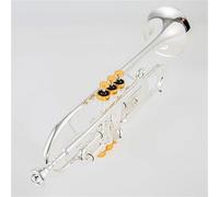 Strumento Tromba Professionale Strumenti Musicali Professionali Con Chiave Dorata In Argento Tromba Piccola In Sib Con Custodia