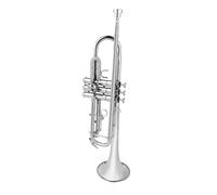 Strumento Tromba Professionale Strumento A Tromba B Piatto Nichelato/verniciato In Oro Per Principianti Ed Esami Di Valutazione(Silver)