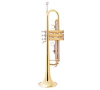 Strumento Tromba Professionale Suonare Lo Strumento A Fiato Per Principianti In Si Bemolle Tromba Tromba In Ottone Bicolore