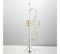 Strumento Tromba Professionale Tromba Corno Placcato Argento Tubo In Ottone Strumento A Tromba Produzione Di Ottoni