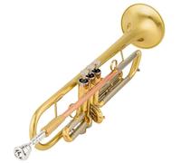 Strumento Tromba Professionale Tromba D'oro Pipa B Strumento Piatto Ottone Principianti Instrumentos Musicales Profesiona