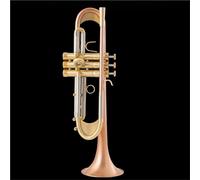 Strumento Tromba Professionale Tromba In Sib Lacca Dorata Tromba Placcata Argento Strumenti Musicali In Ottone Tromba Di Tipo Composito(Gold)