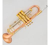 Strumento Tromba Professionale Tromba In Sib Strumento Musicale Tricolore Spazzolato Bronzo Antico Professionale Con Accessori