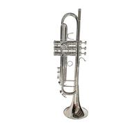 Strumento Tromba Professionale Tromba Professionale Standard In Ottone In Sib Con Custodia Per Principianti(Silver)