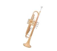 Strumento Tromba Professionale Tromba Tono Oro Si Bemolle Strumento A Tromba Laccato Oro Orchestra Della Scuola Di Insegnamento Per Principianti(A)