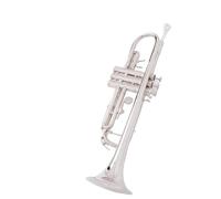 Strumento Tromba Professionale Tromba Tono Oro Si Bemolle Strumento A Tromba Laccato Oro Orchestra Della Scuola Di Insegnamento Per Principianti(C)