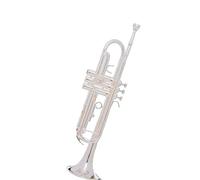 Strumento Tromba Professionale Tromba Tono Oro Si Bemolle Strumento A Tromba Laccato Oro Orchestra Della Scuola Di Insegnamento Per Principianti(D)
