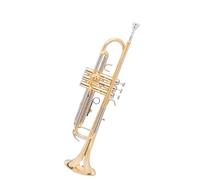 Strumento Tromba Professionale Tromba Tono Oro Si Bemolle Strumento A Tromba Laccato Oro Orchestra Della Scuola Di Insegnamento Per Principianti(B)
