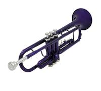 Strumento Tromba Professionale Tromba Viola In Ottone Materiale Tromba Musicale In Sib Si Tromba Piatta Con Custodia Protettiva Per Spazzole