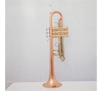 Strumento Tromba Professionale Tubo In Ottone Tono C Piccola Tromba Regolabile Doppio Corno Strumenti Musicali Professionali Con Superficie Placcata Oro