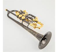 Strumento Tromba Professionale Valvola Rotativa Per Tromba In Sib Tipo B Chiave Piatta In Ottone Piatta Strumenti Musicali Tromba C Professionali(BB)