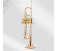 Strumento Tromba Professionale Versione Aggiornata Dell'orchestra Della Tromba In Si Bemolle Per Lo Studio Autonomo