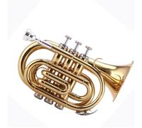 Strumento Tromba Professionale Versione Aggiornata Dell'orchestra Della Tromba In Si Bemolle Per Lo Studio Autonomo(108)