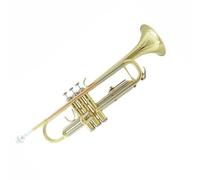 Strumento Tromba Si Bemolle Banda Di Ottoni Tromba Professionale Bronzo Fosforoso/Rame Bianco Tromba Portatile