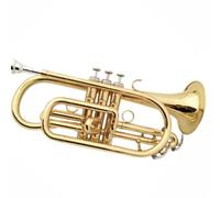 Strumento Tromba Strumento Cornetta Strumento Tromba In Si Bemolle Ottone Laccato Oro Tromba Portatile In Ottone Standard