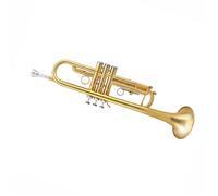Strumento Tromba Strumento Tromba In Si Bemolle Corpo In Ottone Laccato Oro Dedicato Tromba Professionale Tono Principiante Standard
