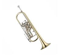 Strumento Tromba Strumento Tromba Rotante Bb Tromba Standard Professionale Strumento Musicale In Acciaio Inossidabile Durevole E Squisito