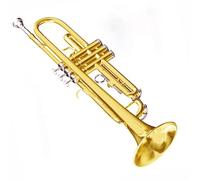 Strumento Tromba Tromba In Si Bemolle Strumento A Fiato A Tre Note Principiante Standard Ottone Acciaio Inossidabile