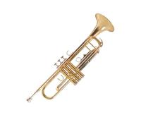 Strumento Tromba Tromba In Si Bemolle Strumento A Fiato A Tre Toni Tromba Professionale Per Principianti Tono Pieno