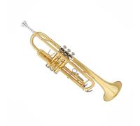 Strumento Tromba Tromba Si Bemolle Strumento A Fiato A Tre Note Principiante Ottone Acciaio Inossidabile Tono