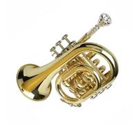 Strumento Tromba Tromba Tascabile In Si Bemolle Strumento Professionale Per Principianti Ottoni Tromba Standard Tono