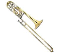 Strumento Trombone Si Bemolle A Fa Tenore Strumento Trombone Che Cambia Intonazione Studente Professionista Che Suona Il Trombone Con Custodia