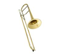 Strumento Trombone Studente Ottone Giallo Lacca Dorata Trombone Contralto Trombone Tono EB Accessori Inclusi