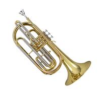 Strumento Trombone Trombone Standard Da Marcia In Si Bemolle Con Corpo In Ottone E Tubo In Rame Bianco Con Scatola Portaoggetti (Color : Gold)