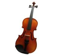 strumento violino Tutti Gli Studenti In Legno Massello Lucido Praticano Strumenti Di Violino E Diffondono Violini Fatti A Mano (Color : 1/2)