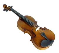 strumento violino Violino Acustico Con Scatola Per Il Trasporto Dell'arco Violino In Legno Massello Di Tiglio Per Principianti Della Banda Da Concerto Dell'orchestra (Color : 1/2)