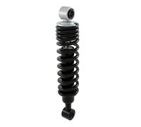 Strut / Ammortizzatore RMS standard