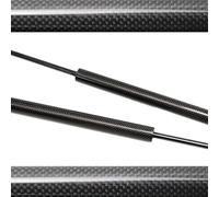 Strut di stivale automatico a tailgate con socchi di supporto a molla Shock Schergola smorzabile compatibile con 1 serie E87 2004-2011 Modelli di sostituzione del portello posteriore 'auto Parti di so