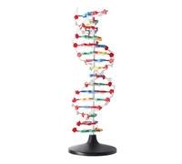 Struttura del DNA Moo di plastica educativa DNA Attrezzatura insegnamento moo a doppia per le lezioni di biologia e scuole superiori e universitarie