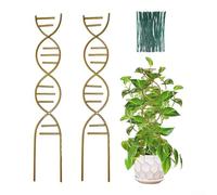 Struttura di supporto per piante da interno costruita per ancorare steli intrecciati e assistere traiettorie di crescita naturale in ambienti di vita compatti (nero)