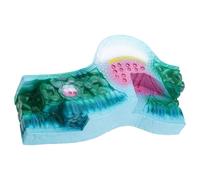 Struttura educativa Modello anatomico Realistico Modelli di piante anatomiche Strumento di apprendimento in aula per laboratorio scientifico Struttura realistica Modello anatomico Anatomico