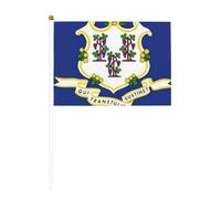 sttung Bandiera dello Stato del Connecticut, 10 pezzi, bandierine palmari che sventolano bandiere per feste in strada, eventi sportivi, pub, decorazioni per auto