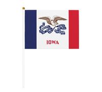 sttung Bandiera dello Stato dell'Iowa, 10 pezzi, bandierine palmari, bandierine che sventolano, per feste in strada, eventi sportivi, pub, decorazioni per auto