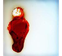 Stubborn Heart - Better Than This