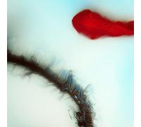 Stubborn Heart - Stubborn Heart