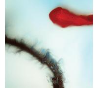 Stubborn Heart - Stubborn Heart