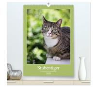 Stubentiger (hochwertiger Premium Wandkalender 2026 DIN A2 hoch), Kunstdruck in Hochglanz: Wir drei sind frech, faul und gefrässig