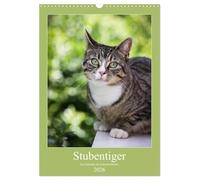 Stubentiger (Wandkalender 2026 DIN A3 hoch), CALVENDO Monatskalender: Wir drei sind frech, faul und gefrässig