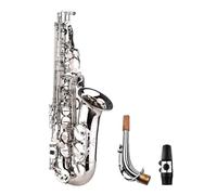 Student Sassofono Bocchino Per Sax Mib Alto Mi Piatto In Ottone Intagliato Sulla Superficie In Plastica, Squisito Con Un Set Completo (Color : Silver)