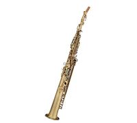 Student Sassofono Esame Delle Prestazioni Professionali Per Principianti Dello Strumento Sassofono Dritto In Si Bemolle Alto