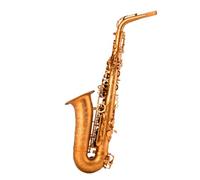 Student Sassofono Mi Bemolle Sassofono Contralto Strumento A Fiato Esame Professionale Per Principianti Oro Opaco