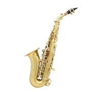 Student Sassofono Sassofono Acuto Ottone Dorato Modello Intagliato Bottoni Per Sassofono Bocchino Ance Collo Accessori Per Strumenti A Fiato (Color : Gold Silver)