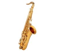 Student Sassofono Sassofono Contralto In Mi Bemolle Per Principianti Esame Di Performance Professionale In Oro Nichel Nero (Color : Brass)
