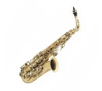 Student Sassofono Sassofono Contralto In Mib Ottone Laccato Oro Strumento Musicale Sax In Mi Bemolle Con Custodia In Oro E Bronzo Antico (Color : Antique bronze)