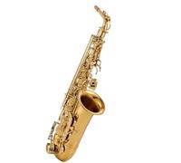Student Sassofono Sassofono Mi Bemolle Sassofono Contralto Strumento Per Principianti Esame Di Prestazioni Professionali Custodia In Pelle Con Cintura In Ottone