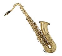 Student Sassofono Sassofono Tenore B Piatto Esame Professionale Delle Prestazioni Strumento Per Sassofono In Bronzo Imitazione A Doppia Costola